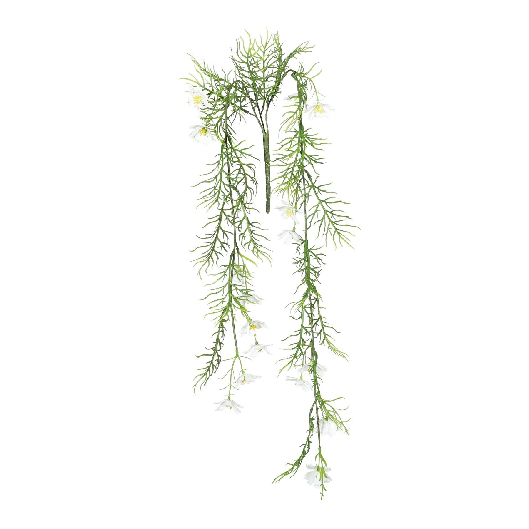 Exterior Cosmos Bush U.V - White - 72cm