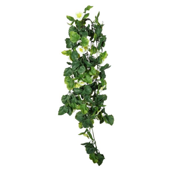 Exterior Pansy Trailing Bush U.V - 68cm