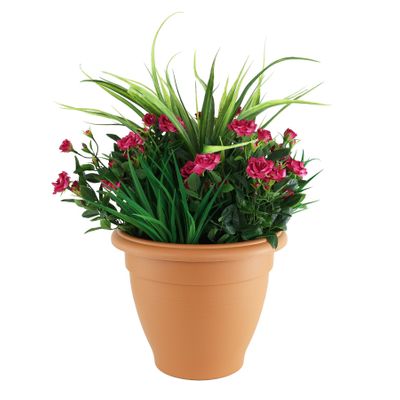 Rose Yukka Tub
