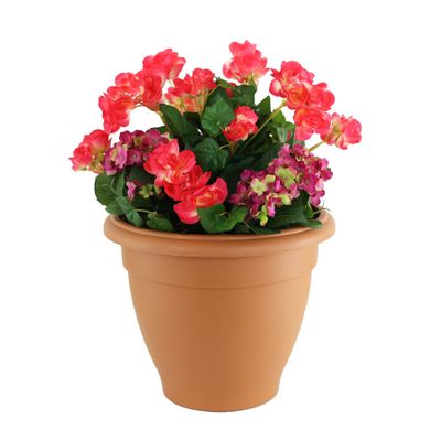 Begonia Hydrangea Tub