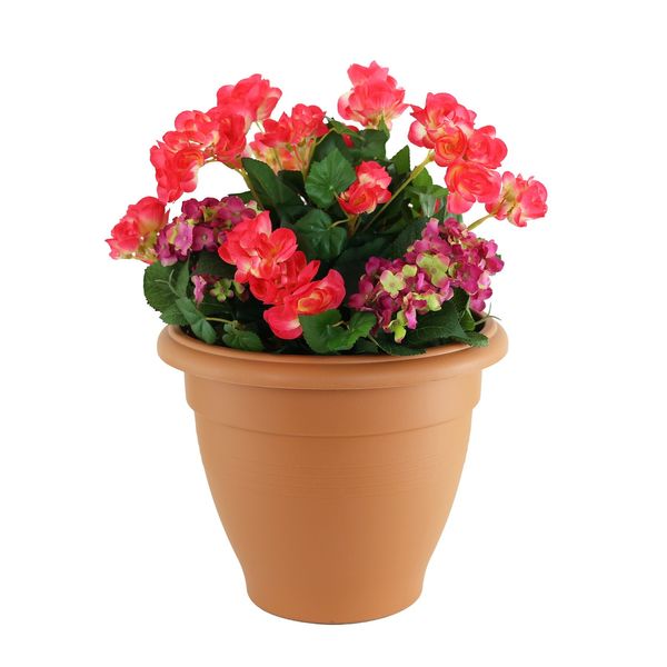 Begonia Hydrangea Tub