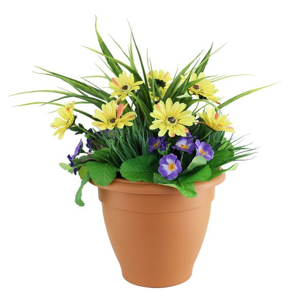 Yucca Primula Planter