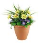 Yucca Primula Planter