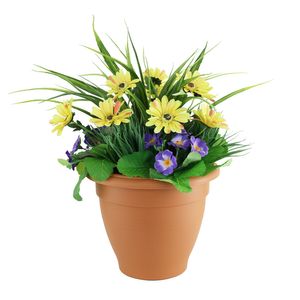 Yucca Primula Planter