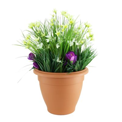 Starflower Snowdrop Tub