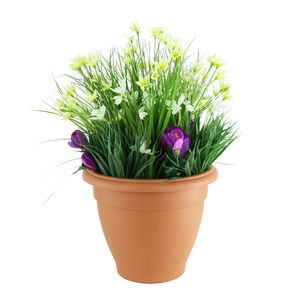 Starflower Snowdrop Tub