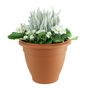 Erica Primrose Tub