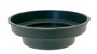 Junior Saucer Green pk of 10