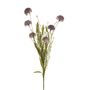English Heath Cornflower Leaf Purple