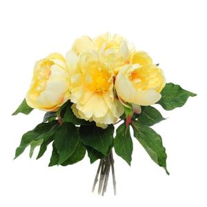 Bundle Peony Yellow