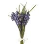 Bundle Muscari Blue 25Cm