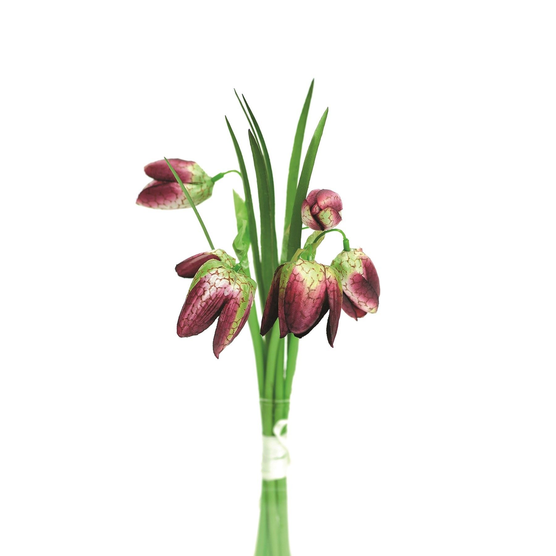 Fritillaria Bndl Burgundy 20Cm