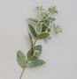68cm Frosted Leaf Spray