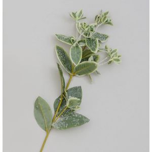 68cm Frosted Leaf Spray