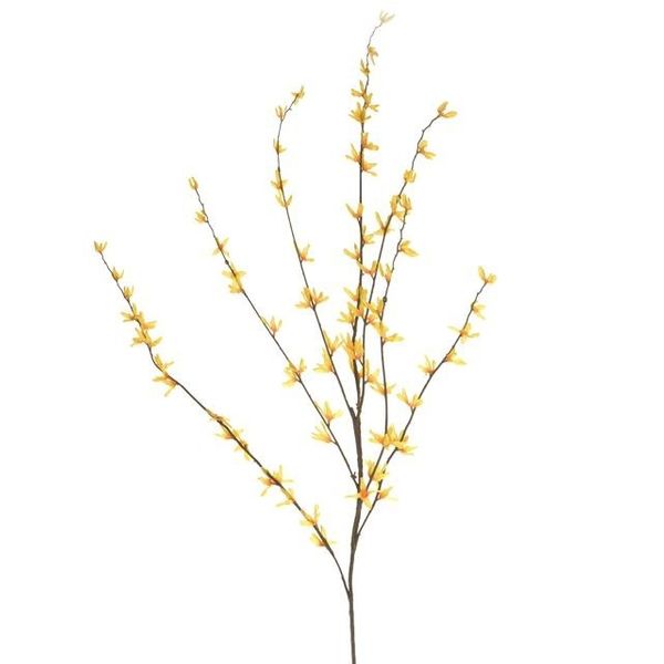 Forsythia Branch Yellow 118Cm