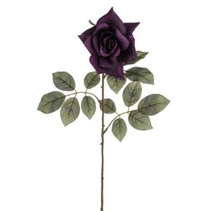 Plum Rose 68Cm