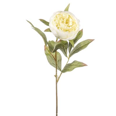 Dawn Peony Ivory 62Cm