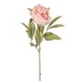 Dawn Peony Pink 62Cm