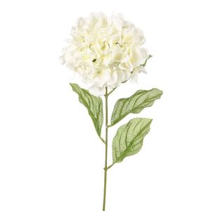 Dawn Hydrangea Ivory 72Cm