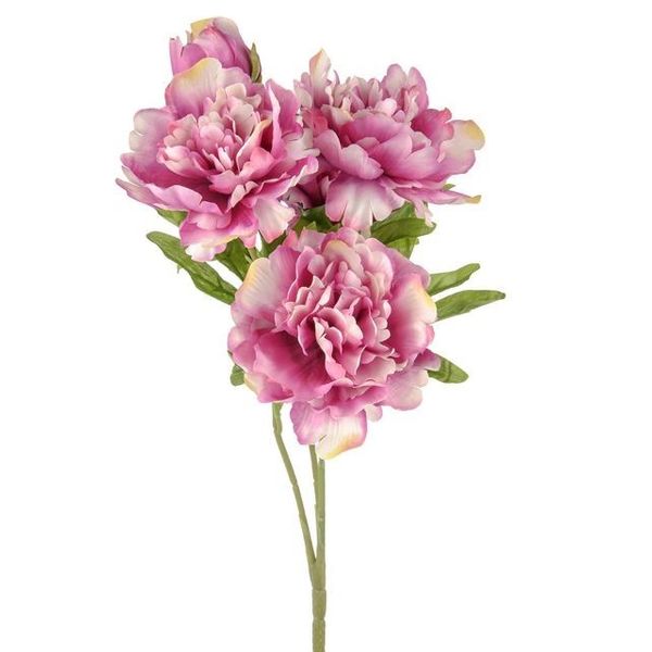 Flora Peony Bush Dark Pink 42Cm