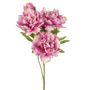 Flora Peony Bush Dark Pink 42Cm