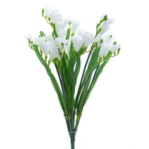 Freesia Bush X12 Cream
