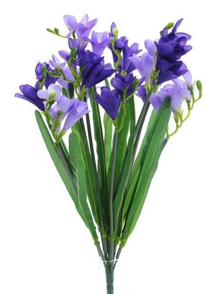 Freesia Bush X12 Lav/Purple