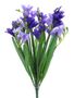 Freesia Bush X12 Lav/Purple