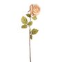 Artificial Etching Rose Stem Vintage Cream 64cm