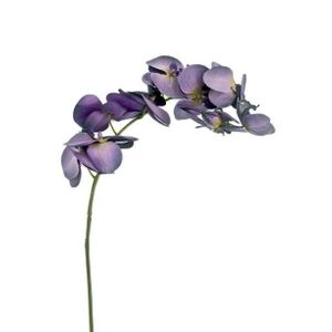 Eternity Orchid Purple 87Cm