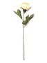 Eternity Peony Stem Antiq Peach