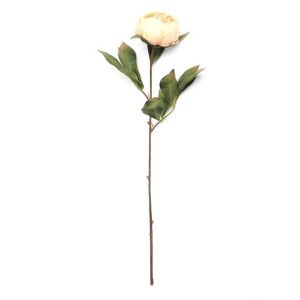 Eternity Peony Stem Antiq Peach