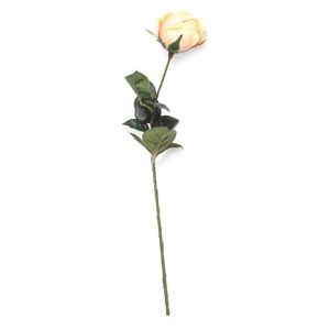 Eternity Rose Stem Antq Peach