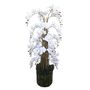 Orchid White H150cmxD33cm