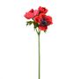 Anemone Spray Red 46Cm