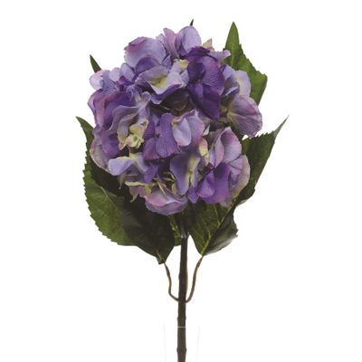 Hydrangea Extra Lge Lavender