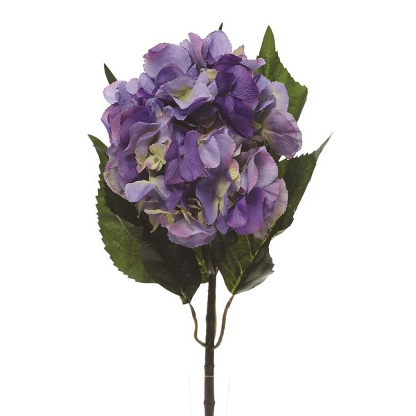 Hydrangea Extra Lge Lavender