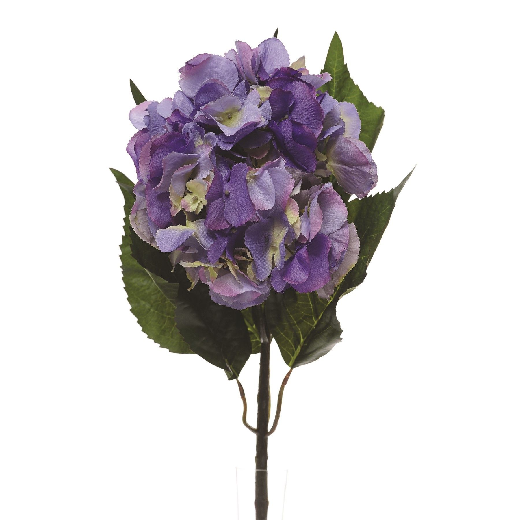 Hydrangea Extra Lge Lavender