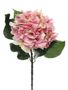 Hydrangea Extra Lge Pink