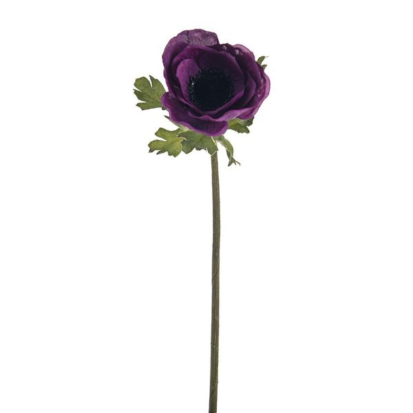 Olivia Anemone Stem Purple 38Cm