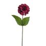 Olivia Zinnia Stem Burgundy 46Cm