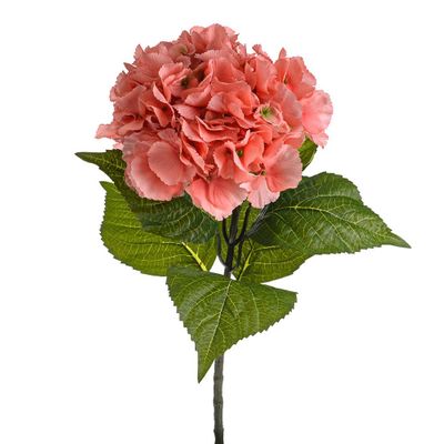 Olivia Hydrangea Stem Coral 67Cm