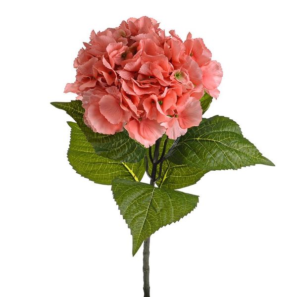 Olivia Hydrangea Stem Coral 67Cm