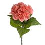 Olivia Hydrangea Stem Coral 67Cm