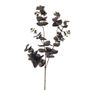 Amelia Eucalyptus Spray Dark Grey 71Cm
