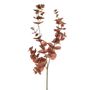 Amelia Eucalyptus Spray Russet 71Cm