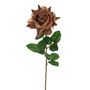 Amelia Rose Stem Caramel 68Cm
