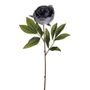 Amelia Peony Stem Light Grey 63Cm