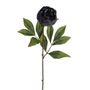 Amelia Peony Stem Dark Grey 63Cm