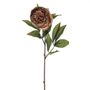 Amelia Peony Stem Caramel 63Cm